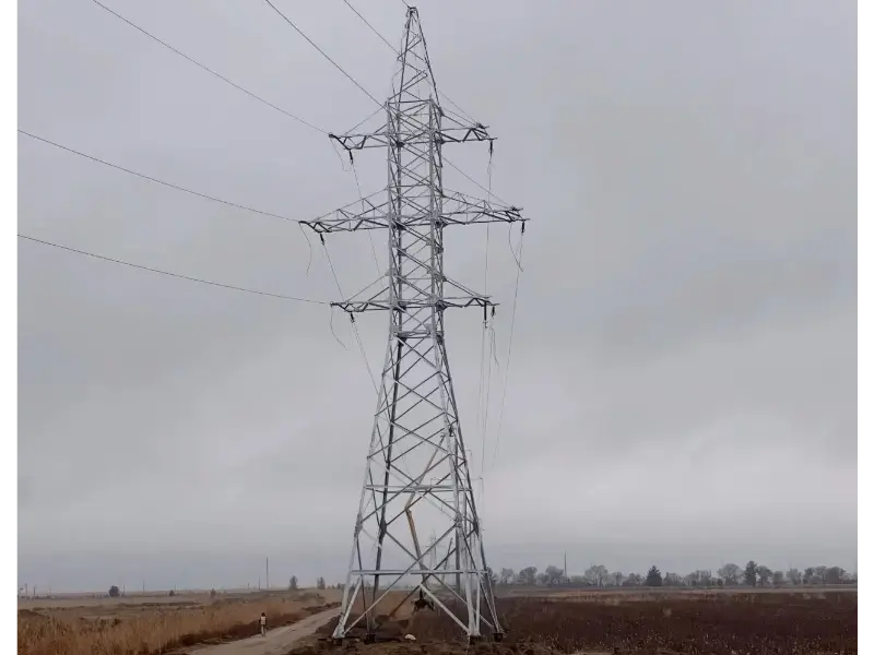 మావో టోంగ్ యొక్క కస్టమర్ అభిప్రాయం